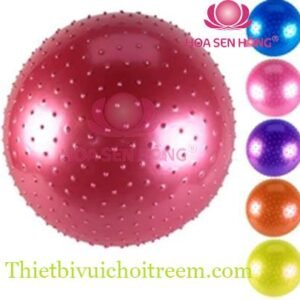Đồ chơi trong nhà PT-32-021 cho khu vui chơi trong nhà trung tâm thương mại, nhà hàng, trường mầm non – Hoa Sen Hồng