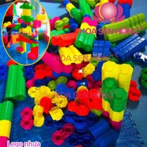 Đồ chơi trong nhà PT-31-23 cho khu vui chơi trong nhà trung tâm thương mại, nhà hàng, trường mầm non – Hoa Sen Hồng