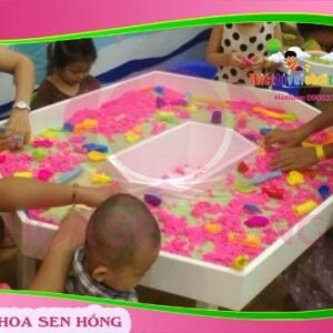 Bàn chơi cát TC-42-14 cho trường mầm non, nhóm trẻ – Hoa Sen Hồng