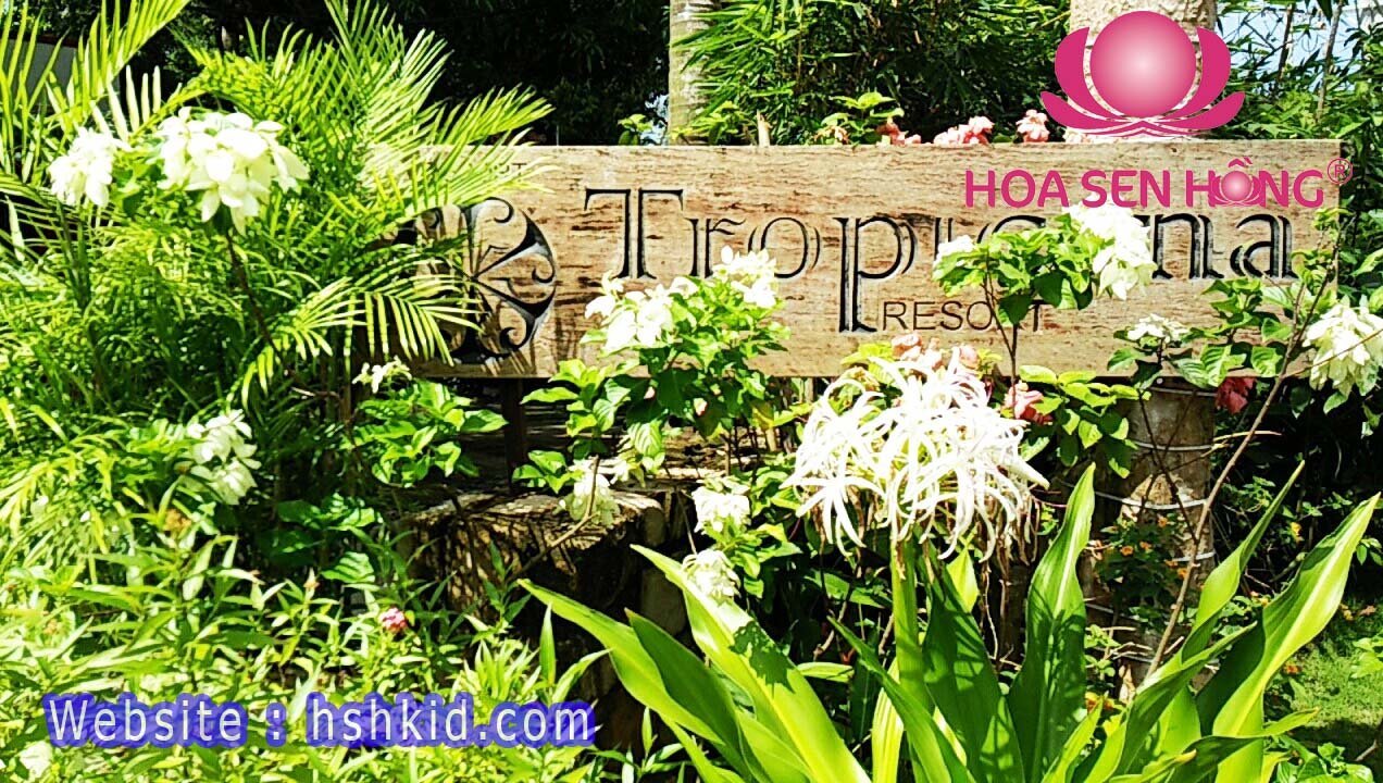 Sân chơi trẻ em tại Tropicana Resort Phú Quốc – ảnh 8